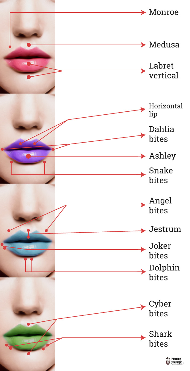Nombre-de-piercing-en-el-labio