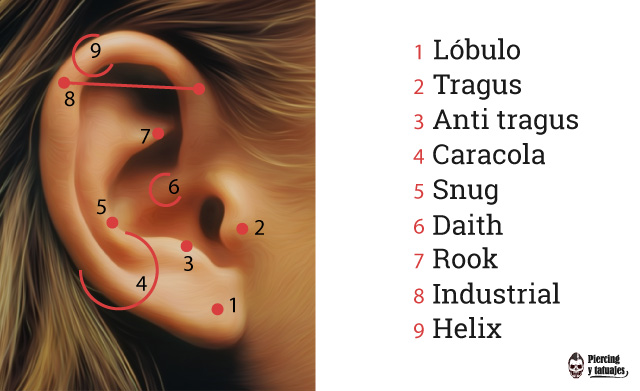Nombre-de-piercing-en-la-oreja